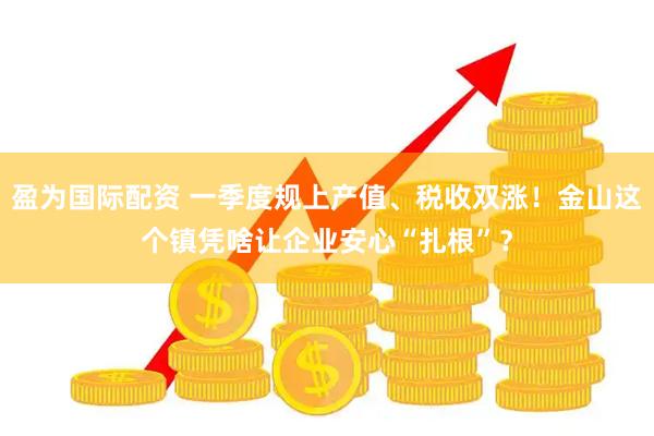 盈为国际配资 一季度规上产值、税收双涨！金山这个镇凭啥让企业安心“扎根”？